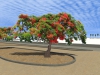 Albero in fiore BB